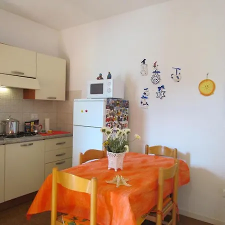 Vibrant In A Pool Paradise