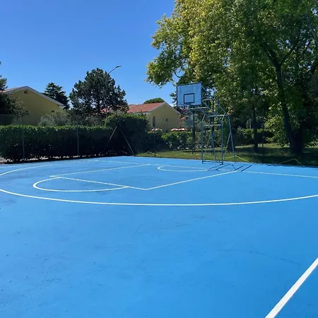 Vibrant In A Pool Paradise *